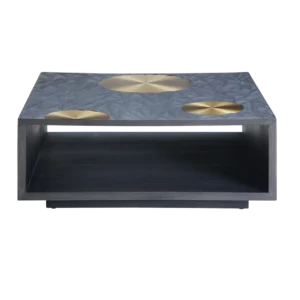 CT8003 coffee table front view